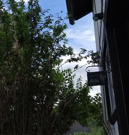 Huehnerstaellchen Dumpelfeld エクステリア 写真